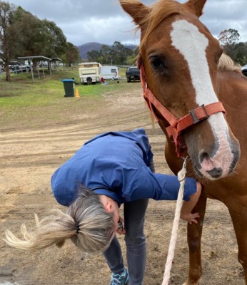 RSPCA NSW in Nymbodia Lithgow Cobargo