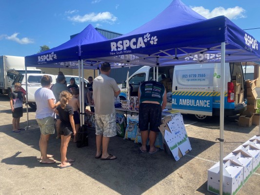 RSPCA NSW provides relief points in Lake Conjola