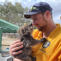 RSPCA SA Justin Biddle Koala
