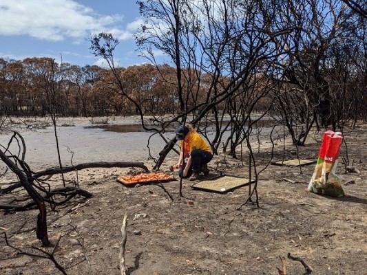 RSPCA SA deploys volunteer teams on Kangaroo Island