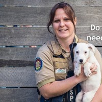 RSPCA Victoria Offering Bushfire Assistance